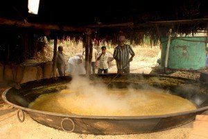 Jaggery preparation