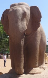 rock elephant chennai